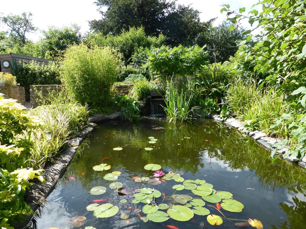 Liongate House Bed & Breakfast Ilchester Luaran gambar